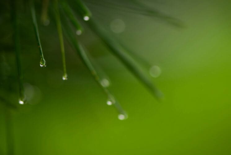 Hållbarhet på JCDecaux